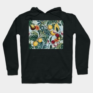 Vintage Fruit Pattern on pale blue Hoodie